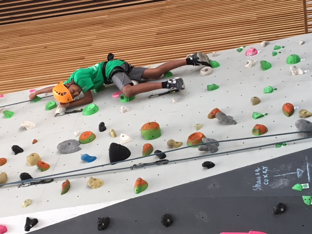 IMG 0239